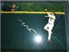 Jim Edmonds on Sportscollectors.Net