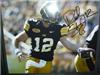 Ricky Stanzi on Sportscollectors.Net
