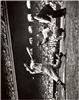 Bobby Doerr on Sportscollectors.Net