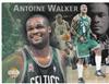 Antoine Walker on Sportscollectors.Net