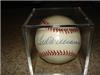 Ted Williams on Sportscollectors.Net