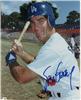 Steve Garvey 8X10 In Person on Sportscollectors.Net