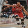 Derrick Rose on Sportscollectors.Net