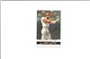 Ozzie Smith on Sportscollectors.Net