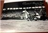 Bobby Doerr on Sportscollectors.Net