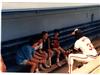 Dugout Photo with Eddie Murray on Sportscollectors.Net