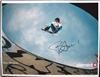 Bam Margera on Sportscollectors.Net