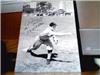 Bobby Doerr on Sportscollectors.Net