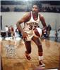 Julius Erving on Sportscollectors.Net