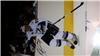 stamkos on Sportscollectors.Net