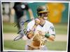 Stephen Vogt on Sportscollectors.Net