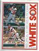 Harold Baines and Greg Luzinski on Sportscollectors.Net
