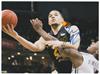 Fred VanVleet on Sportscollectors.Net