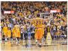 Fred VanVleet on Sportscollectors.Net