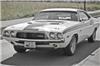 1973 Dodge Challenger on Sportscollectors.Net