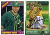 Stephen Vogt on Sportscollectors.Net