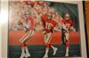 Joe Montana- JSA full certification signed photo 16x20 on Sportscollectors.Net