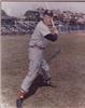 Ted Williams 8X10 In Person Late 80s on Sportscollectors.Net