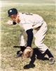 8x10 Billy Martin on Sportscollectors.Net