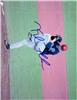 Kyle Funkhouser Photo 4 on Sportscollectors.Net