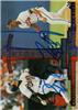 Rafael Palmeiro AND FRED MCGRIFF AUTOGRAPHED DUAL CARD on Sportscollectors.Net