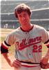 Jim Palmer on Sportscollectors.Net