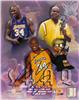SHAQ O'NEAL AUTOGRAPHED 8X10 on Sportscollectors.Net