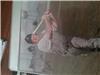 A5 on Sportscollectors.Net