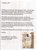 Nate Letter on Sportscollectors.Net