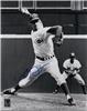 Wayne Granger on Sportscollectors.Net