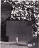 Willie Mays on Sportscollectors.Net