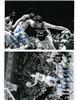 Louie Dampier on Sportscollectors.Net