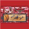 Dikembe Mutombo on Sportscollectors.Net