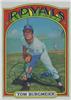 1972 Topps - Tom Burgmeier #246 (Kansas City Royals) on Sportscollectors.Net