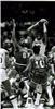 Maurice Cheeks on Sportscollectors.Net