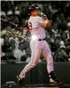 Dante Bichette on Sportscollectors.Net