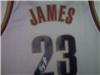 LeBron James Signed Cavs Jersey (Rookie year) on Sportscollectors.Net