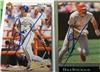 Dale Sveum on Sportscollectors.Net