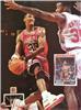 Scottie Pippen 7.91 Beckett Basketball Monthly Signed IP on Sportscollectors.Net