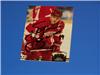 yzerman on Sportscollectors.Net