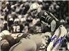 Steve Grogan on Sportscollectors.Net