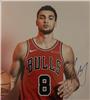 Zach LaVine #36 on Sportscollectors.Net