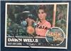 Dawn Wells on Sportscollectors.Net