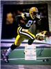 Desmond Howard on Sportscollectors.Net