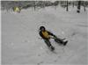 Snow on Sportscollectors.Net