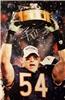 Brian Urlacher on Sportscollectors.Net