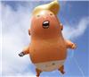 baby tRump on Sportscollectors.Net