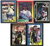 Kyle Petty on Sportscollectors.Net