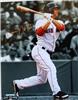 Daniel Nava on Sportscollectors.Net