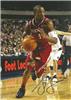 Steve Francis on Sportscollectors.Net
